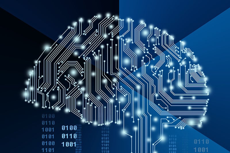 Artificial Intelligence of Digital Human Brain