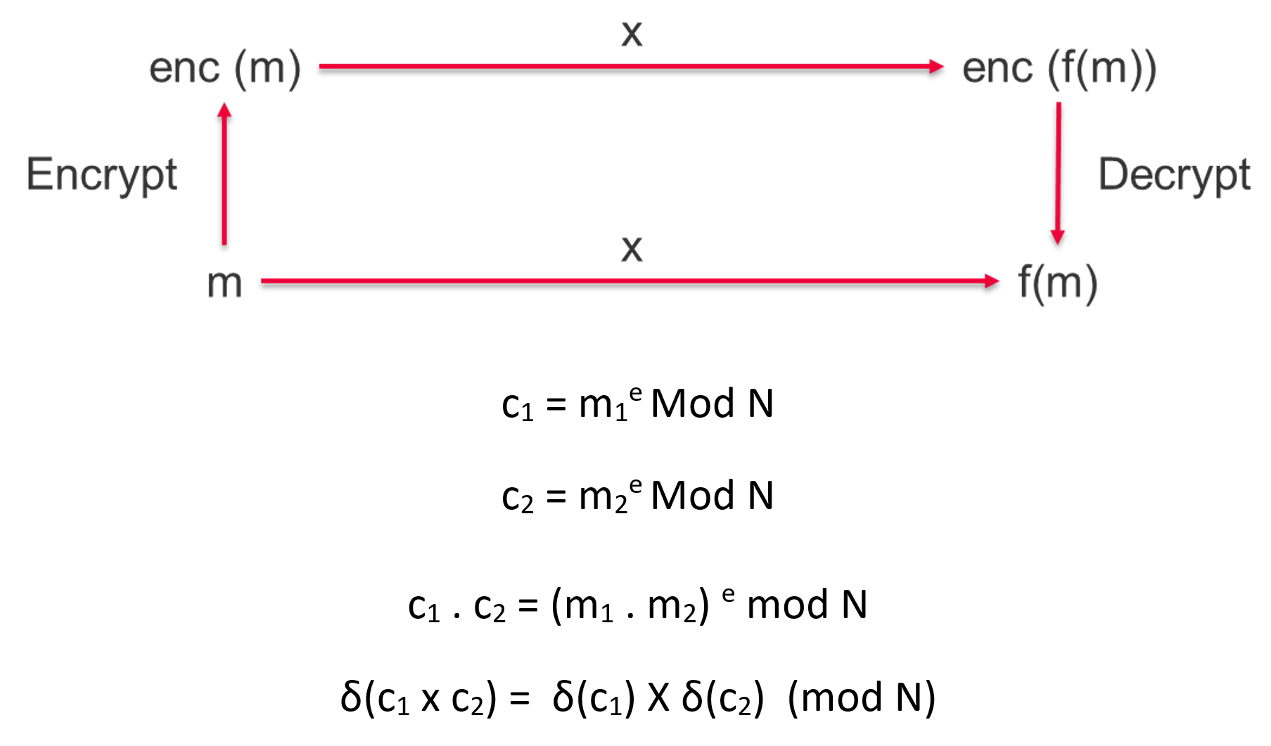 RSA Multiplicative Homomorphic Encryption